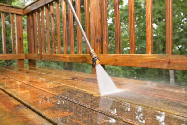 Best Sidewalk Pressure Washing  in Penitas, TX